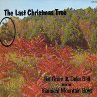 Country Christmas - The Last Christmas Tree